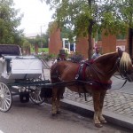 Independence Hall area in Philadelphia - Carriage rides in Philadelphia
