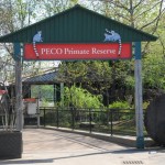 Philadelphia Zoo in Philadelphia - America's First Zoo