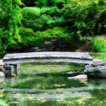 Koi Bridge Pond in Philadelphia