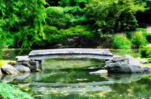 Koi Bridge Pond in Philadelphia