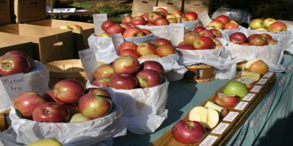 Peddler's Village in Philadelphia PA