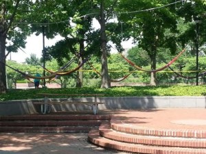 Hammocks at Spruce Street Harbor Park