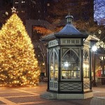 Rittenhouse Square Christmas Tree