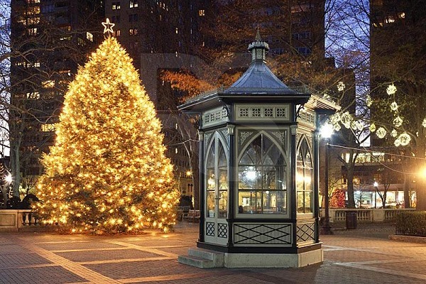 Rittenhouse Square Christmas Tree 