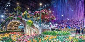 Courtesy of Flower Show PHS