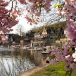 Cherry Blossoms In Philadelphia