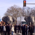 Hegeman String Band - Mummers Parade in Philadelphia - A band starting on Oregon Avenue