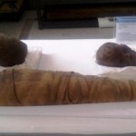 Penn Museum - Conserving Egyptian Mummies