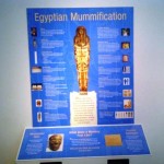 Penn Museum - Conserving Egyptian Mummies