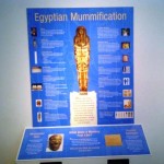 Penn Museum - Conserving Egyptian Mummies