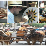 Pennsylvania Dutch Festival