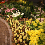 The Philadelphia Flower Show