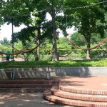 Hammocks at Spruce Street Harbor Park