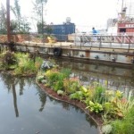 Seven Floating Islands at Spruce Street Harbor Park