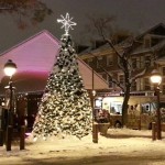 South Street Headhouse District Tree Lighting