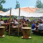 Parks On Tap