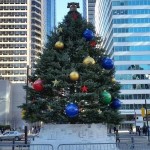 City Hall Holiday Tree