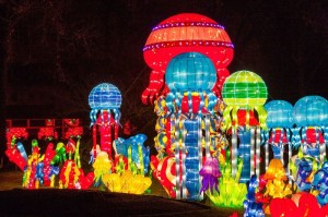 Philadelphia Chinese Lantern Festival