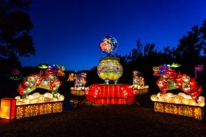 Chinese Lantern Festival