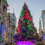 Tree Lighting City Hall