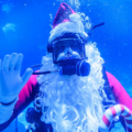 Suba Santa